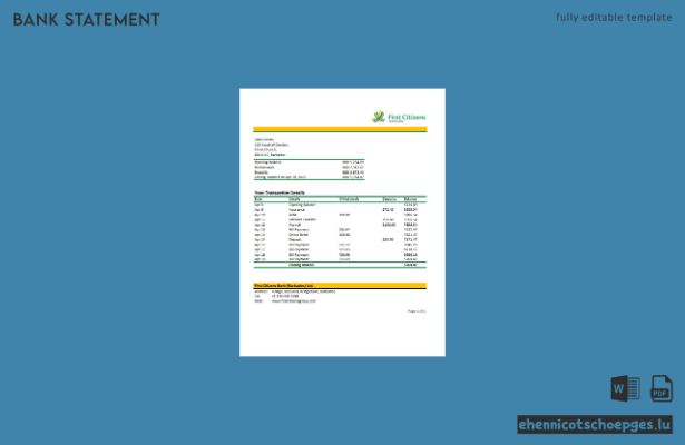Beispiel-Excel-Vorschau für einen Kontoauszug der First Citizens Bank von Barbados